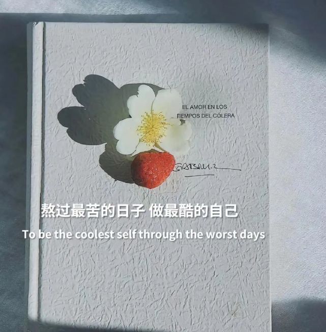 始于心动 终于心痛