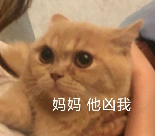弱小可怜又无助