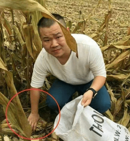 明星回老家后的样子,周润发接地气,他却被人扔砖头