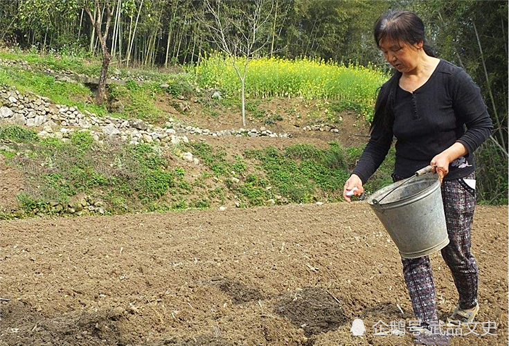 农妇干活发现金疙瘩,上交后专家感动:与《清明上河图》齐名