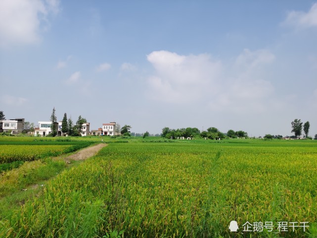 不一定啊!看看这组农村随手