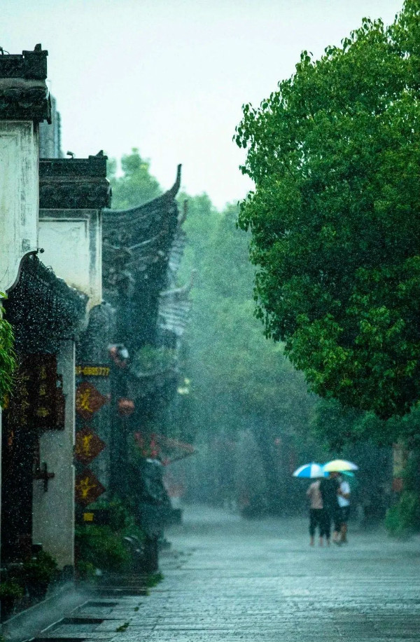 烟雨朦胧季 台城最美时