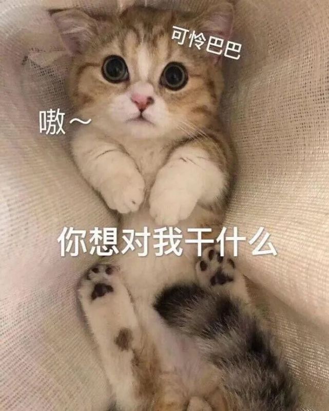 表情包:你想对我干什么