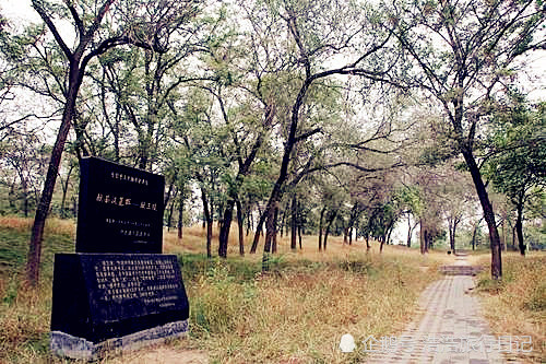 河城街镇人口_东汇城超市人口图片(3)