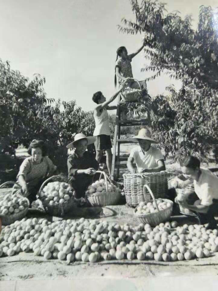 老照片:70年代中国生产队旧影,有你小时候的记忆吗