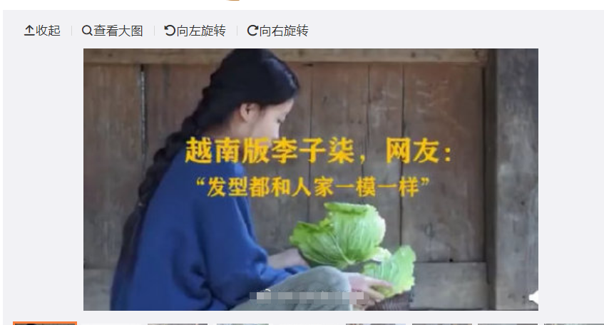 李子柒被越南博主抄袭，发型一模一样！网友：只有其型，没有其神