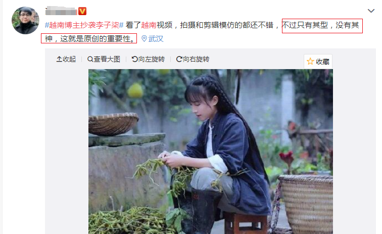 李子柒被越南博主抄袭，发型一模一样！网友：只有其型，没有其神