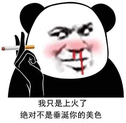 汤姆猫 遵命