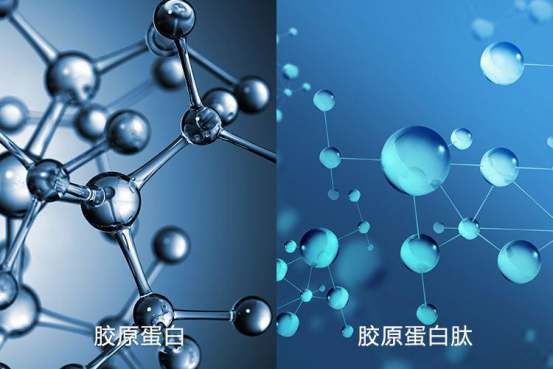 那胶原蛋白是结缔组织中最主要的结构性蛋白,在人体90%的部位中都可以