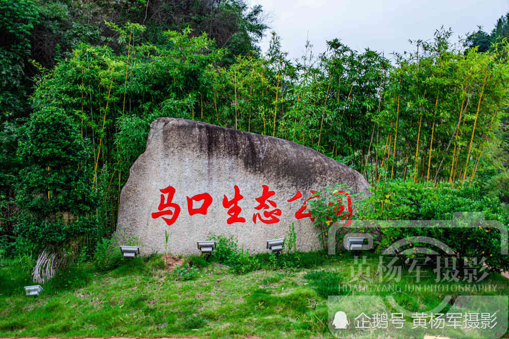 赣州赣县区马口生态公园,相邻章贡区杨仙岭,地处贡江畔景色很美