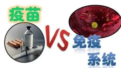 了解下为什么宝宝接种疫苗后会出现等不良反应?