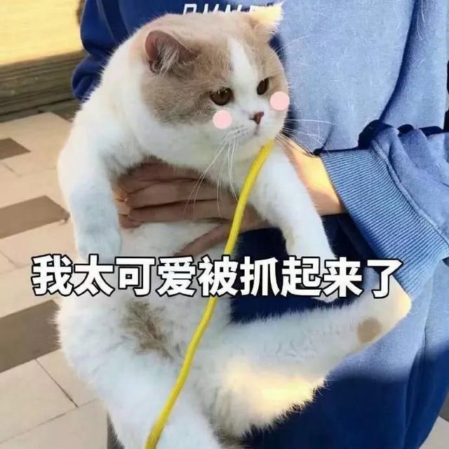 表情包:我要抱住你猛亲