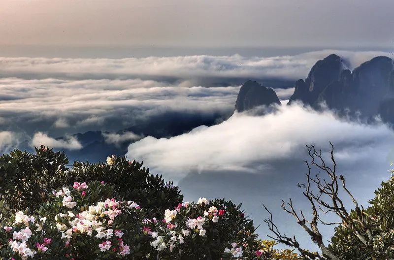 位于来宾市金秀瑶族自治县的圣堂山,是金秀大瑶山的主峰, 更是大瑶山