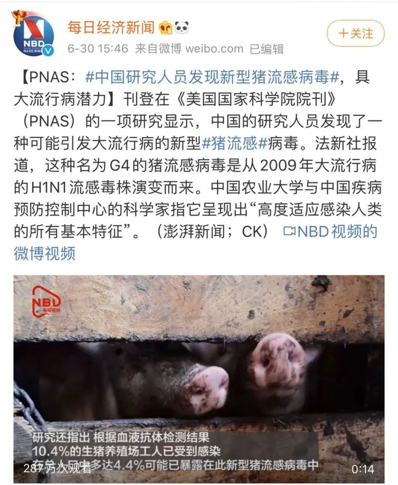 新型猪流感病毒会不会导致高致死性的人间猪流感大流行？我们该为此担忧吗？