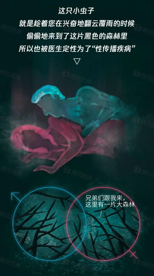判断阴虱的口诀:外阴瘙痒,夜间加剧,内裤污迹,铁锈色,阴毛夹杂点状物