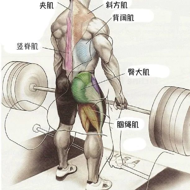 如何安全有效的完成一个硬拉