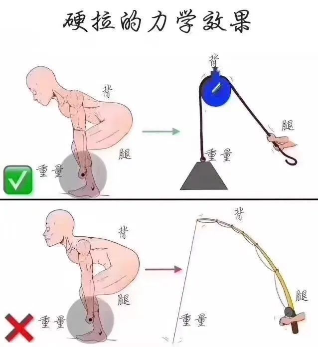如何安全有效的完成一个硬拉