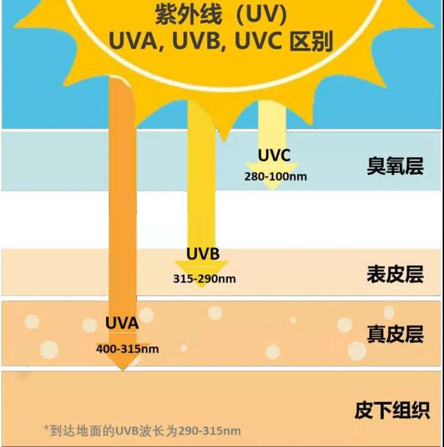 防御了这么久的紫外线你对uva和uvb了解吗