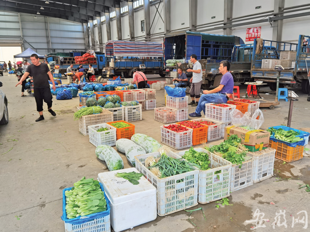 芜湖这一"非法"蔬菜批发市场为何关不掉?
