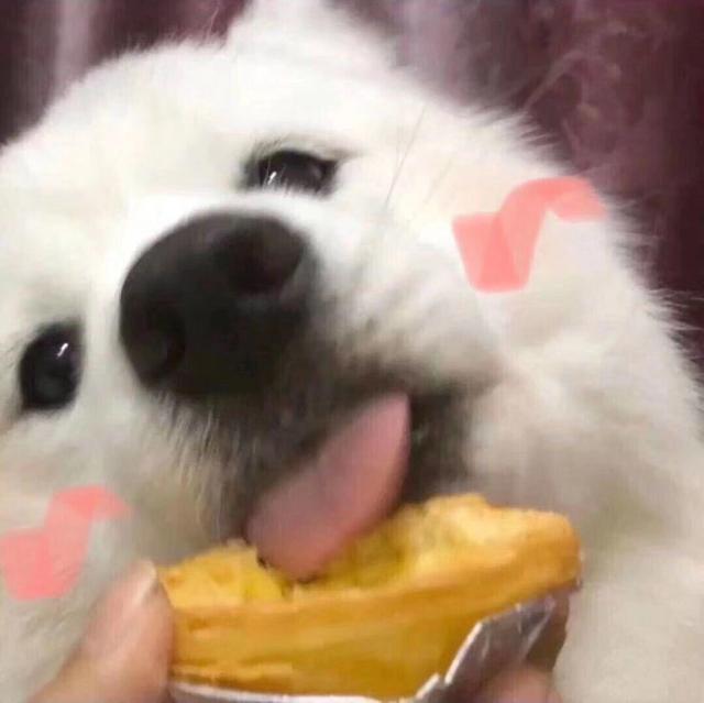 关注鸭鸭鸭                     鸭 图源网络,如侵联删