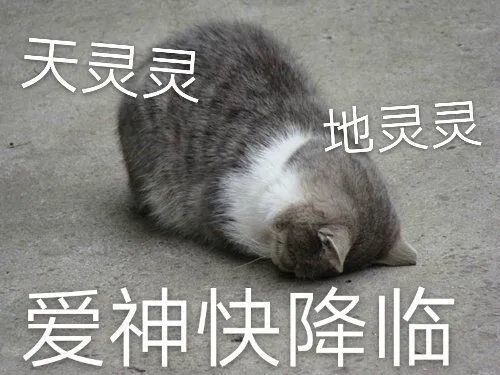 沙雕可爱表情包 公众号 id:wdkabaobao 每天中午12点准时更新 50张最