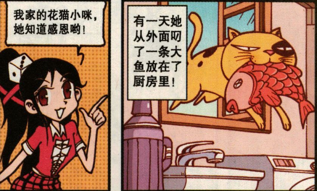 星太奇花猫小咪喜欢美丽女主人为主人叼大鱼保证营养充足