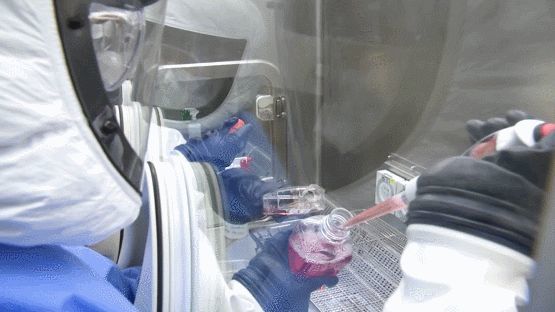 成功了！陈薇院士团队新冠疫苗顺利完成2期临床，军队内部先用！