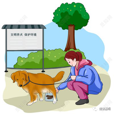 文明养犬,嵩明"铲屎官"们注意了!