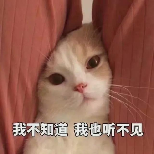 撩人表情包:别的小朋友都有人抱
