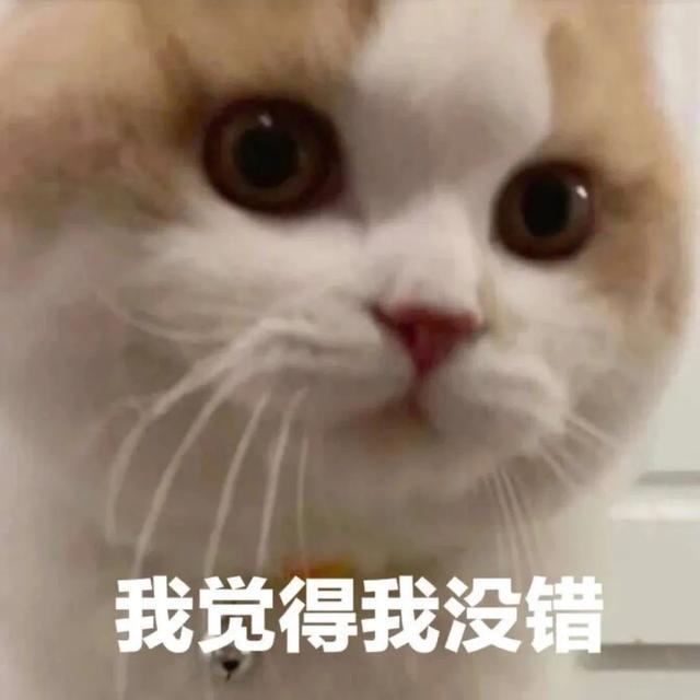 委屈表情包:我觉得我没错|壁纸|头像