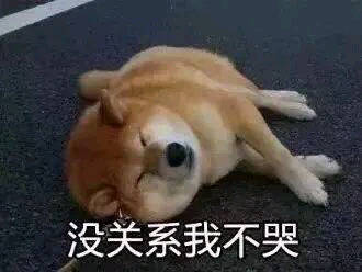 沙雕表情包l醒醒吧你