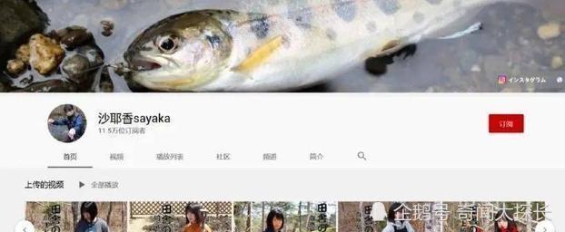 越南博主模仿李子柒，衣服发型连老人和狗都一模一样，网友：太不要脸了
