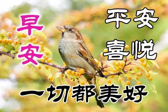 7月3日周六最新早上好问候动态表情图片 早安图片表情