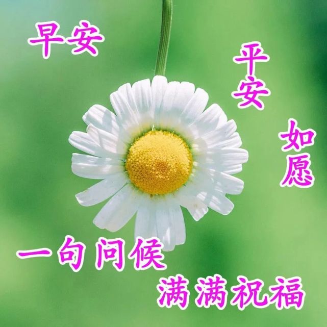 7月3日早上好最棒问候表情祝福语录 清晨最美祝福美图