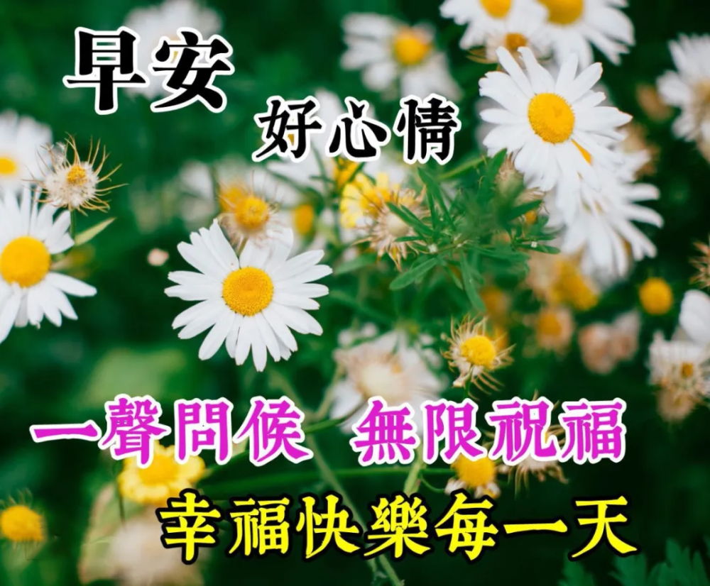 早上好问候祝福美句子漂亮的鲜花祝福早安图片带字