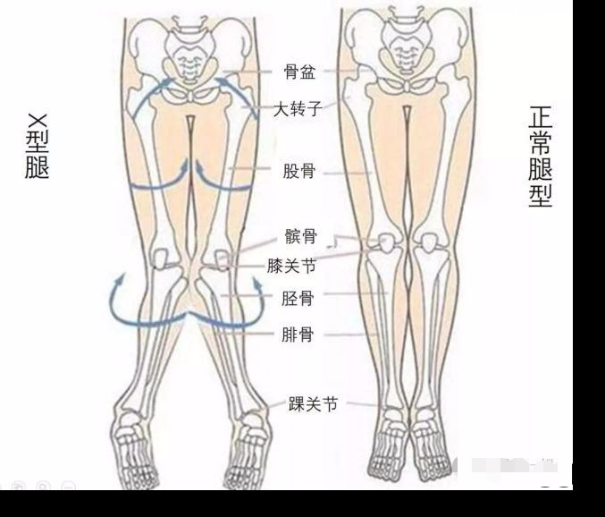 40岁的年纪18岁的身材，蔡依林才是真正的姐圈顶流，金晨都得往后站！