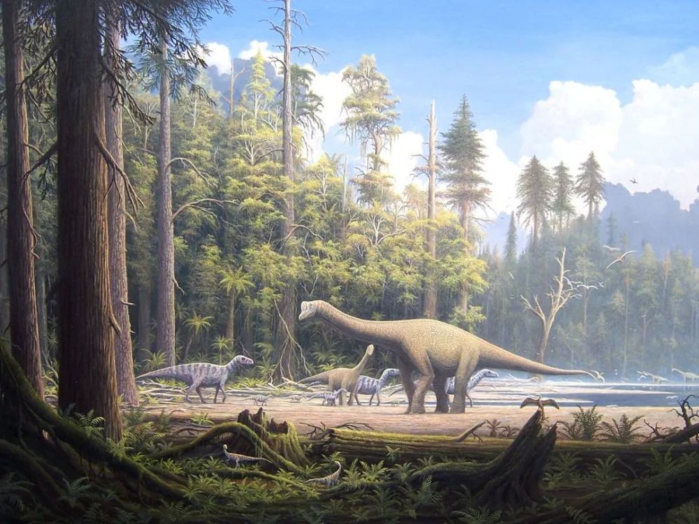 侏罗纪的森林和恐龙,这个时期的森林就和我们现在的比较相似了 图
