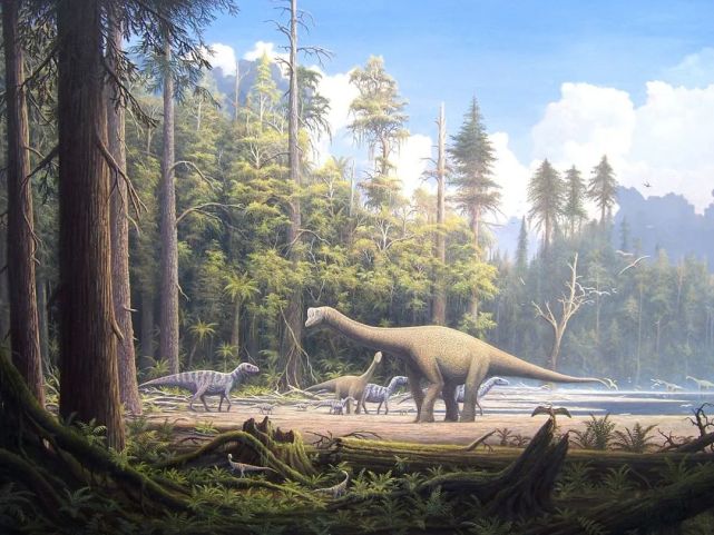 侏罗纪的森林和恐龙,这个时期的森林就和我们现在的比较相似了 图