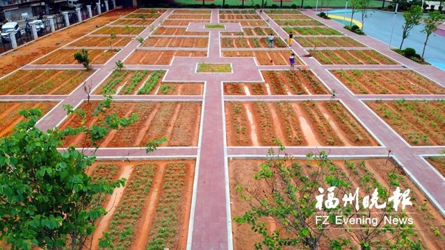 福州交通路小学今秋全新亮相 每班都有"开心农场"