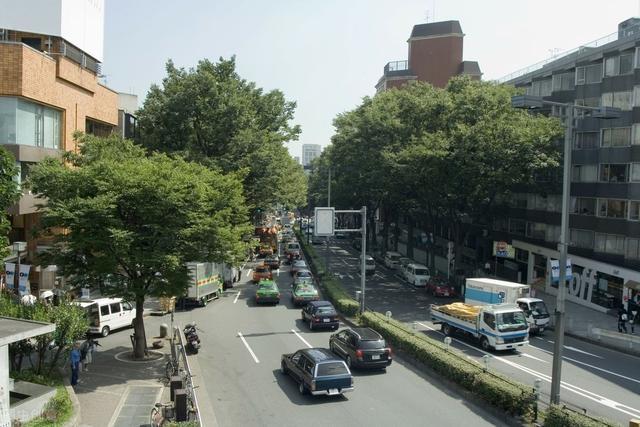 诸葛月报：6月哈市土地成交140余万平！南岗区降价房源量3653套