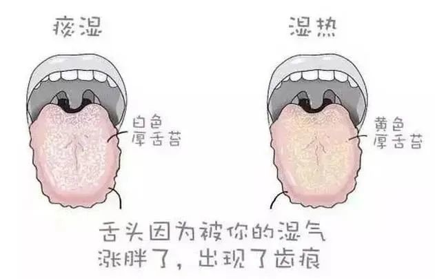 补脾胃是关乎一切疾病的关键！夏天补脾胃的关键都在这里了！