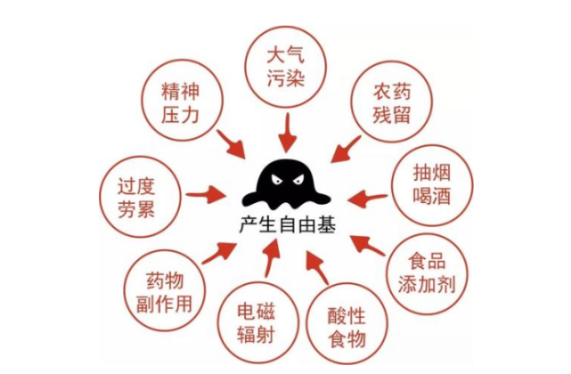 自由基到底是什么?mecmor名膜壹号一文帮你解答清楚