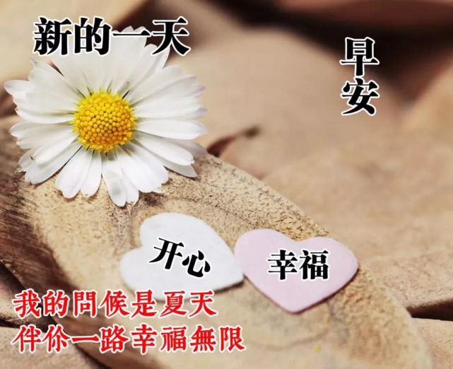 早晨心语唯美图片大全