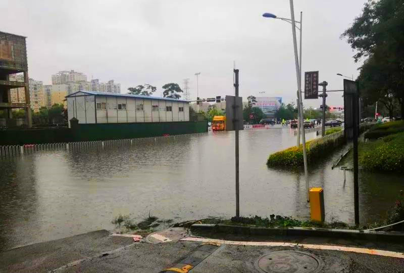 "就算大雨让这座城市颠倒,我会给你怀抱!