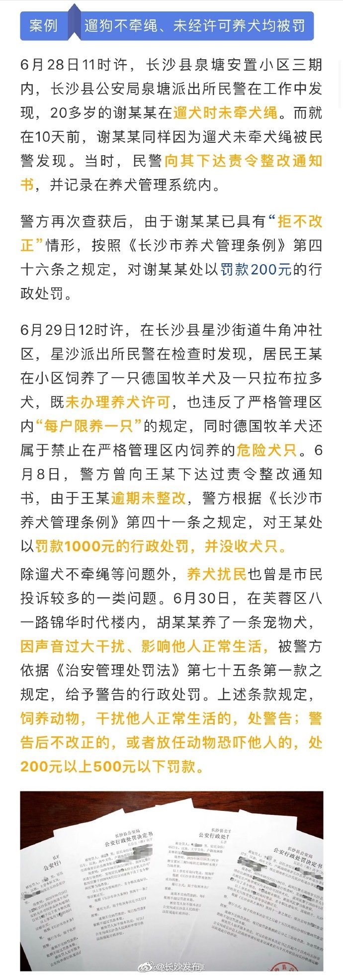 长沙 动真格!养犬不办证,遛狗不牵绳,长沙多人"吃"罚单