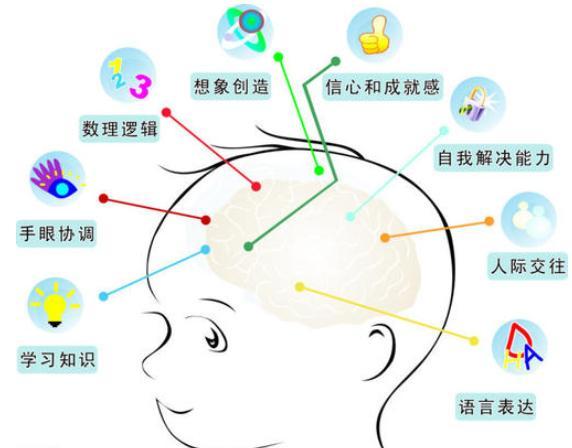 美国心理生物学家斯佩里博士,通过著名的割裂脑实验,发现人的大脑分为