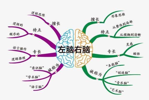 哈佛教授最新发现:孩子大脑发育的最佳方法,并非是靠"阅读"