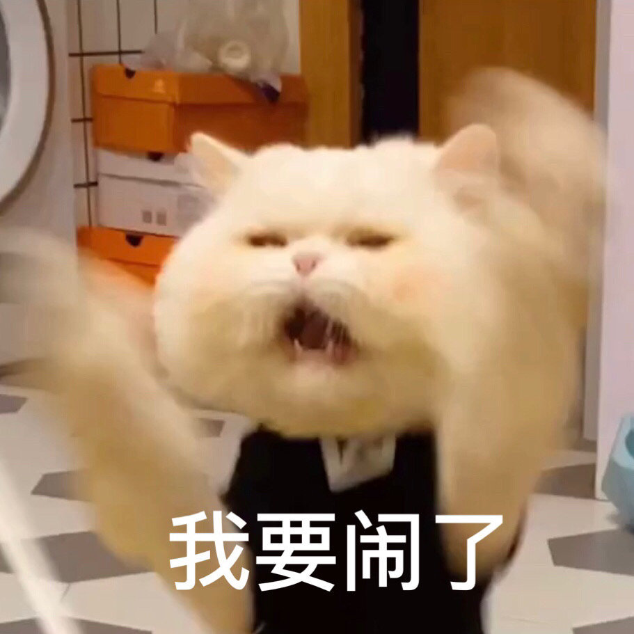 猫咪表情包沙雕人士专用图确定不屯嘛