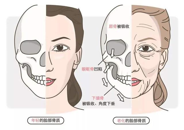 面部轮廓:倒立三角代表青春,正立三角预示衰老