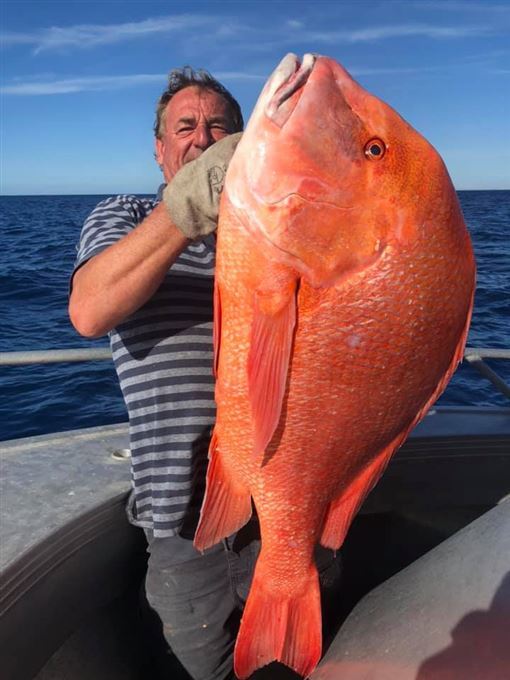 国外男钓到44斤重"单色怪兽鱼",称:舍不